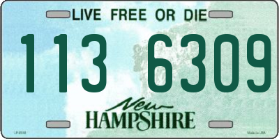 NH license plate 1136309