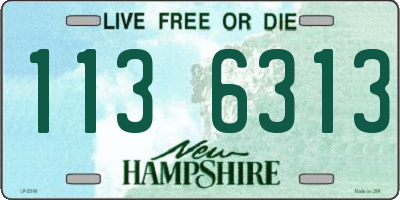 NH license plate 1136313