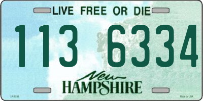 NH license plate 1136334