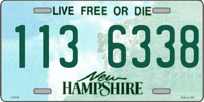 NH license plate 1136338