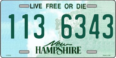 NH license plate 1136343
