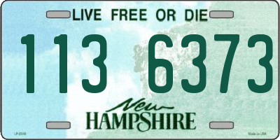 NH license plate 1136373
