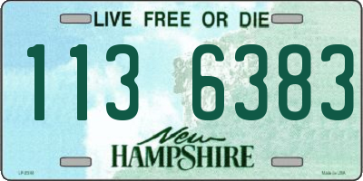 NH license plate 1136383
