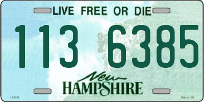NH license plate 1136385