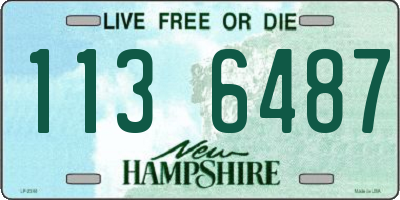 NH license plate 1136487