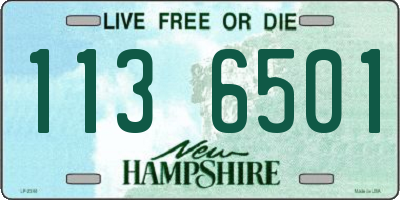 NH license plate 1136501