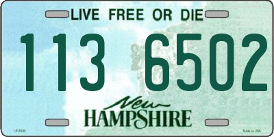 NH license plate 1136502