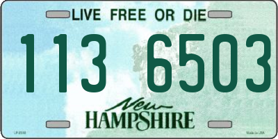 NH license plate 1136503