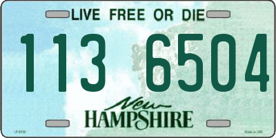 NH license plate 1136504