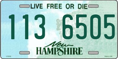 NH license plate 1136505