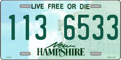 NH license plate 1136533