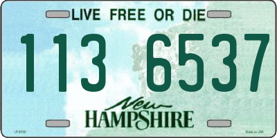 NH license plate 1136537