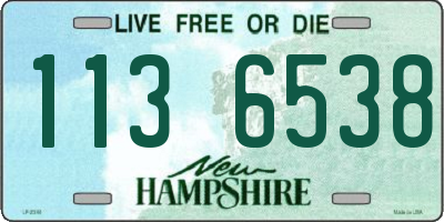 NH license plate 1136538