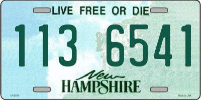 NH license plate 1136541
