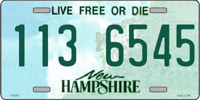 NH license plate 1136545