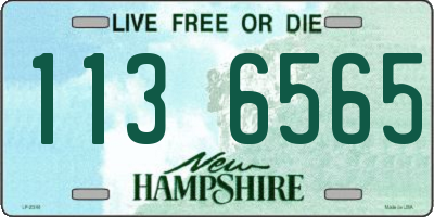 NH license plate 1136565