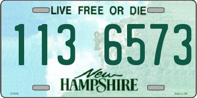 NH license plate 1136573