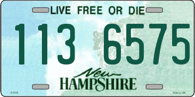 NH license plate 1136575