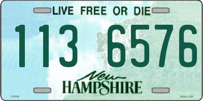 NH license plate 1136576