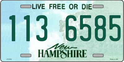 NH license plate 1136585