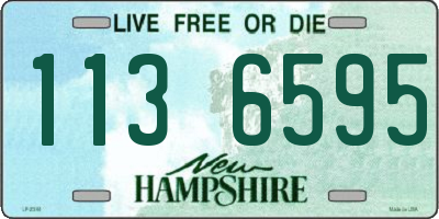 NH license plate 1136595