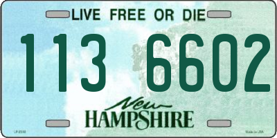 NH license plate 1136602