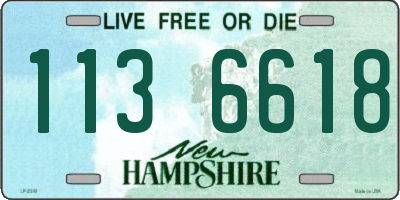 NH license plate 1136618