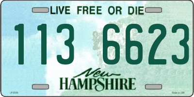 NH license plate 1136623