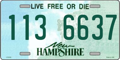 NH license plate 1136637