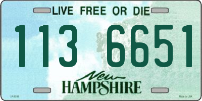 NH license plate 1136651