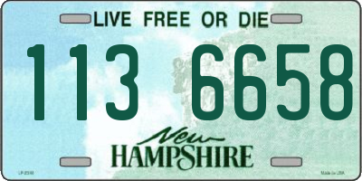 NH license plate 1136658