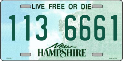 NH license plate 1136661