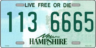 NH license plate 1136665