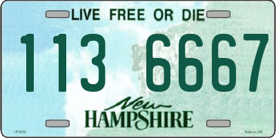 NH license plate 1136667