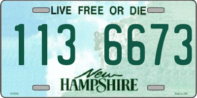NH license plate 1136673