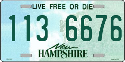 NH license plate 1136676