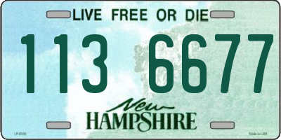 NH license plate 1136677