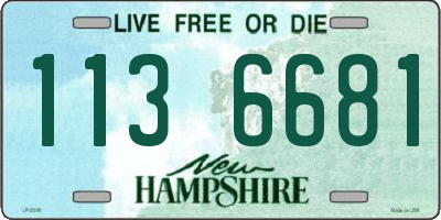 NH license plate 1136681