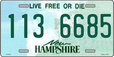 NH license plate 1136685