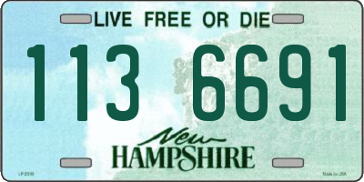 NH license plate 1136691