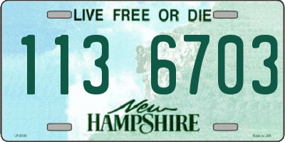 NH license plate 1136703