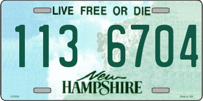 NH license plate 1136704