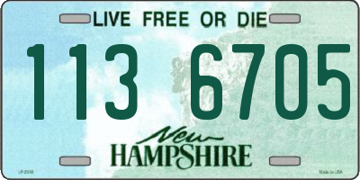NH license plate 1136705