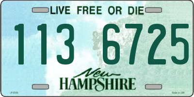NH license plate 1136725