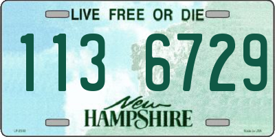 NH license plate 1136729