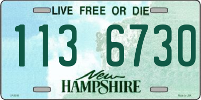 NH license plate 1136730