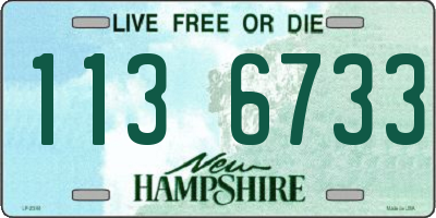 NH license plate 1136733
