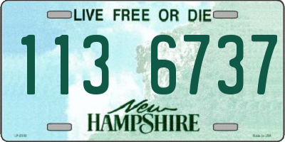 NH license plate 1136737