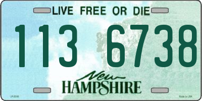 NH license plate 1136738