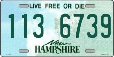 NH license plate 1136739
